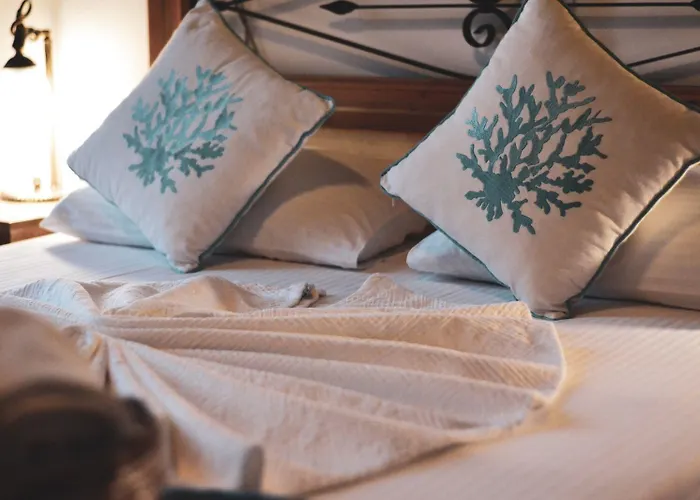 Aliye Hanim Hotel 2*